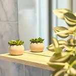 شقة Golden Nest - M&n